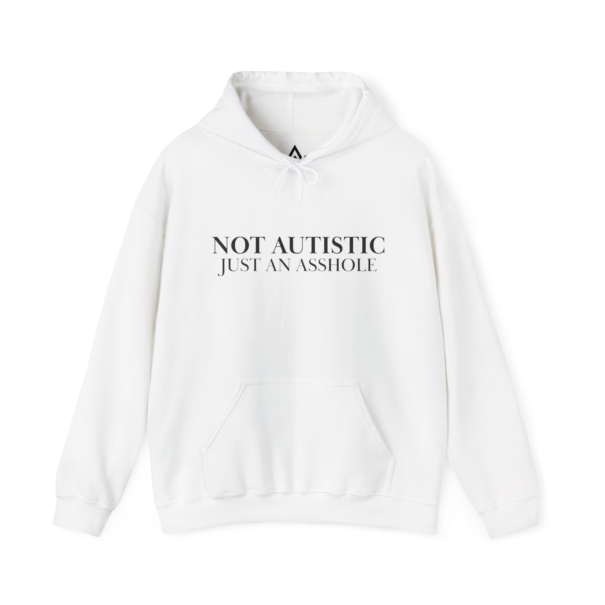 Just An A-Hole Hoodie
