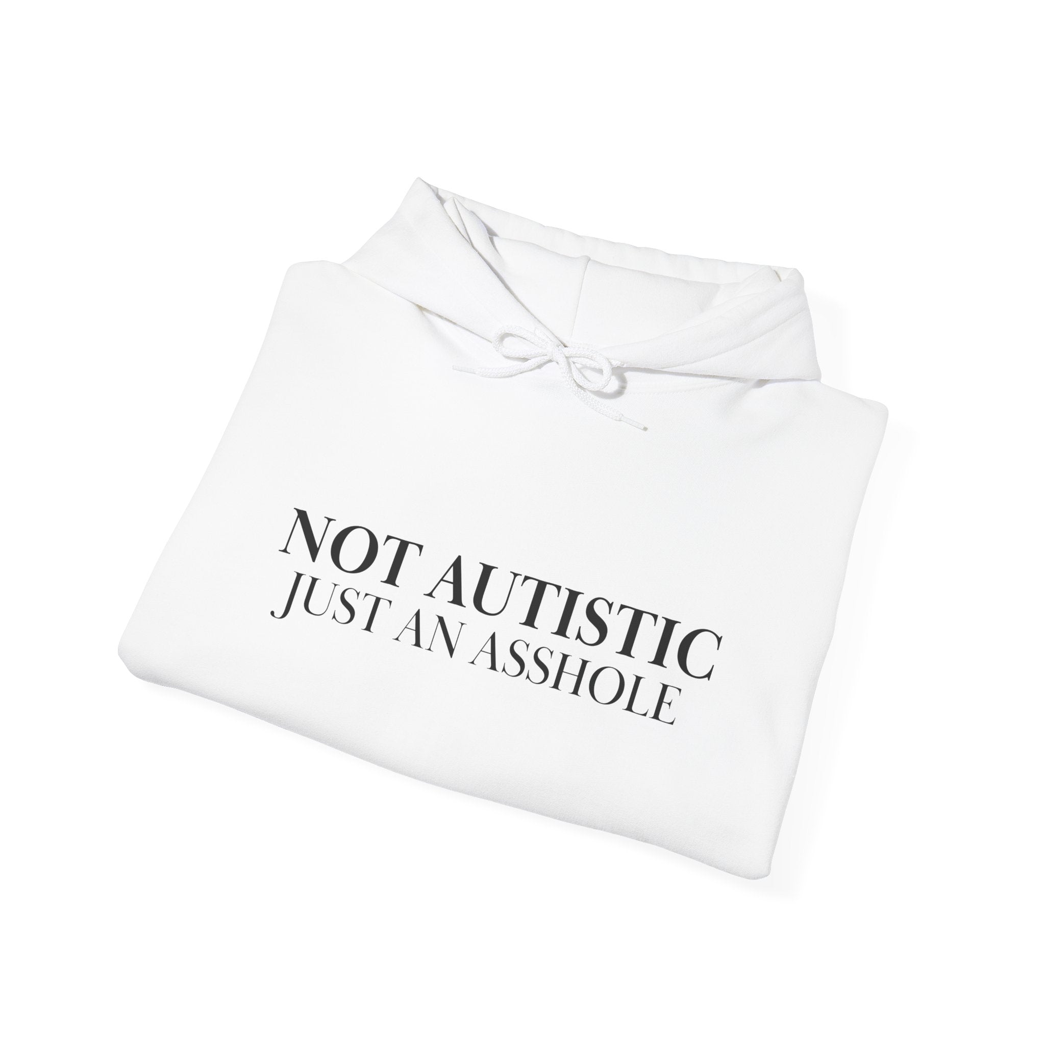 Just An A-Hole Hoodie